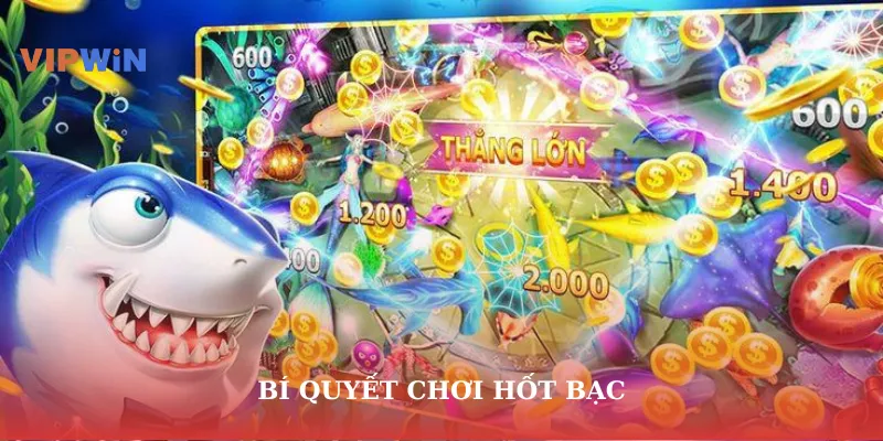 Bí quyết chơi hốt bạc