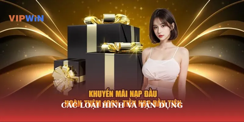 Các loại hình và tận dụng