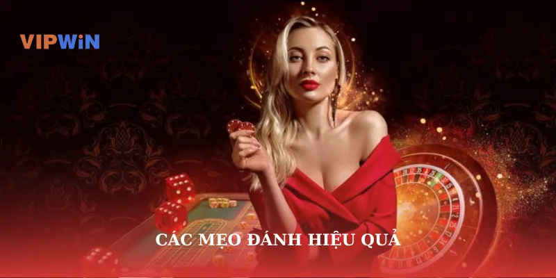 Các mẹo đánh rồng hổ hiệu quả