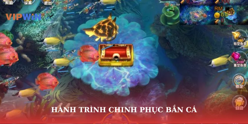 Hành trình chinh phục bắn cá