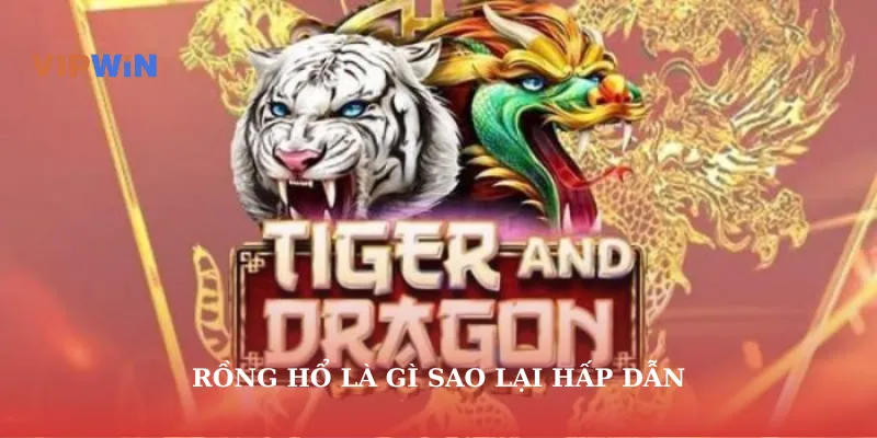 Rồng hổ là gì sao lại hấp dẫn