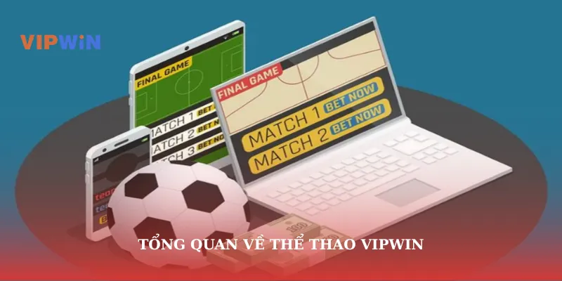 Tổng quan về thể thao vipwin